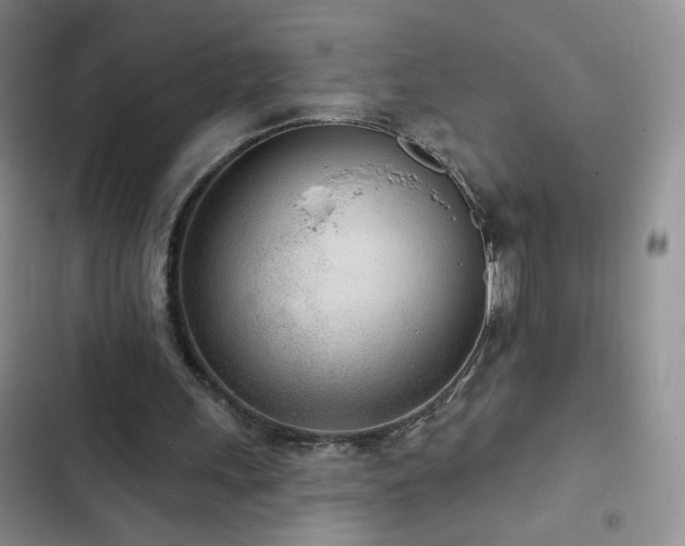 X0000102850243200808181424