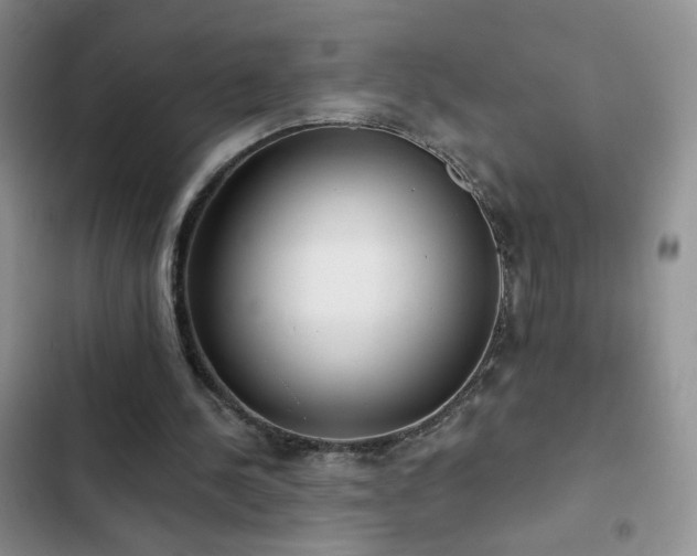 X0000102850244200808181424