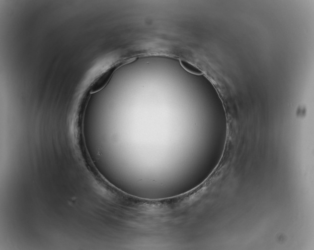 X0000102850245200808181424