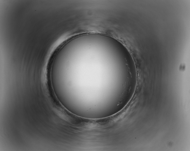 X0000102850246200808181424