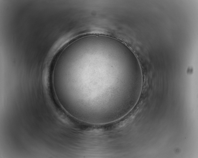 X0000102850247200808181424