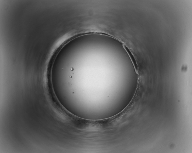 X0000102850248200808181424