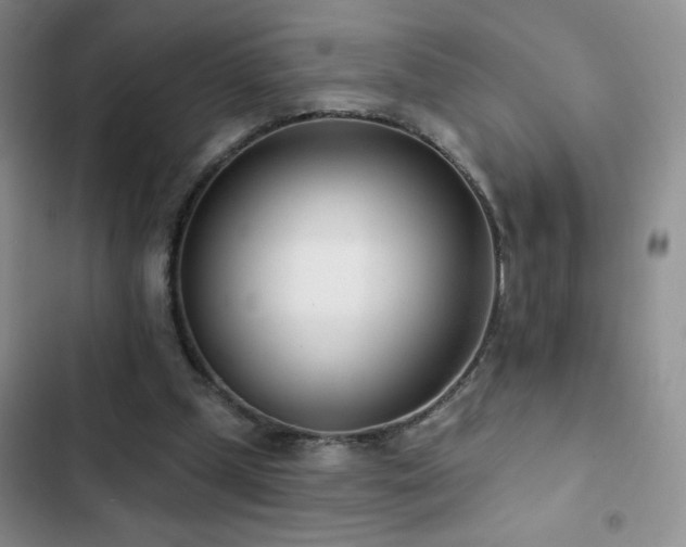 X0000102850249200808181424