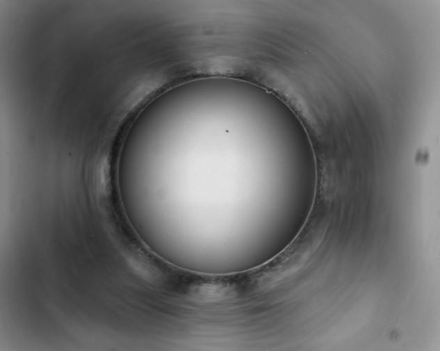 X0000102850251200808181424