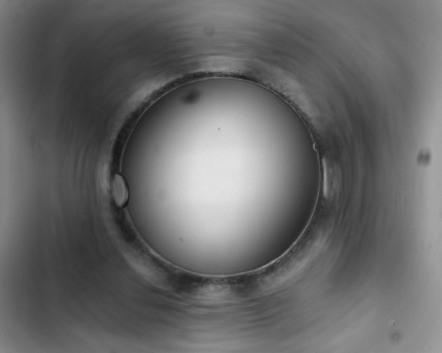 X0000102850252200808181424