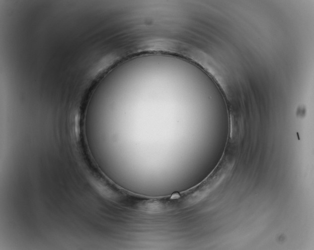 X0000102850253200808181424