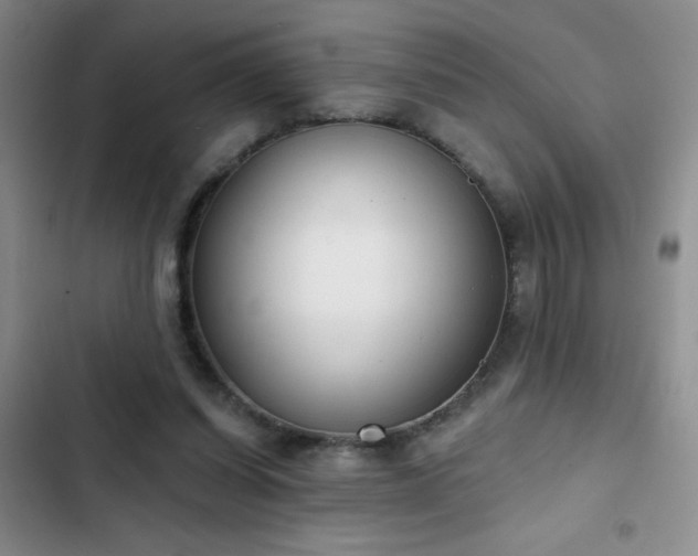 X0000102850254200808181424