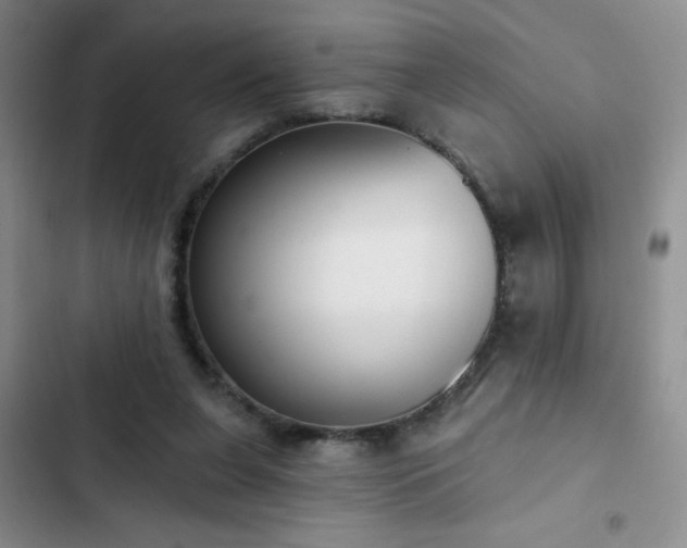 X0000102850255200808181424