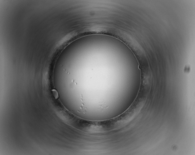 X0000102850256200808181424