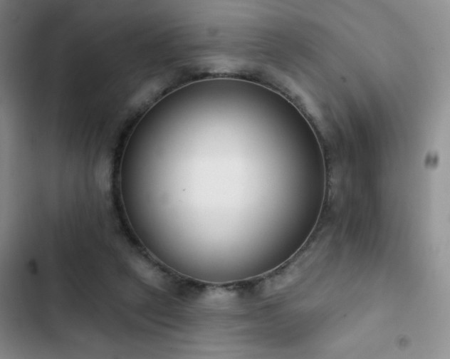 X0000102850257200808181424