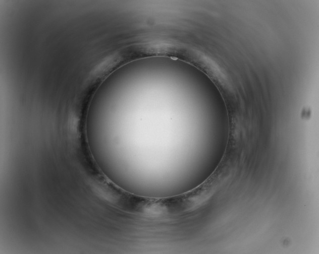 X0000102850258200808181424