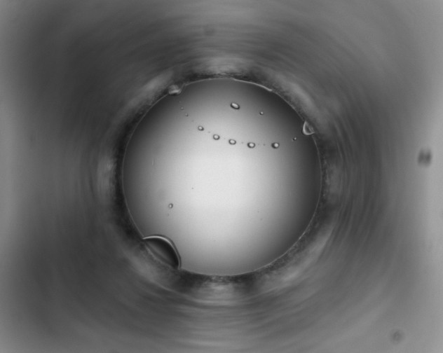 X0000102850260200808181424
