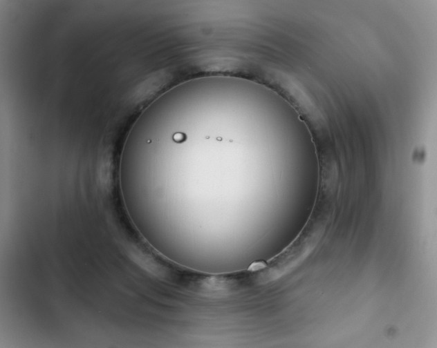X0000102850261200808181424