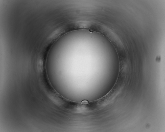 X0000102850262200808181424