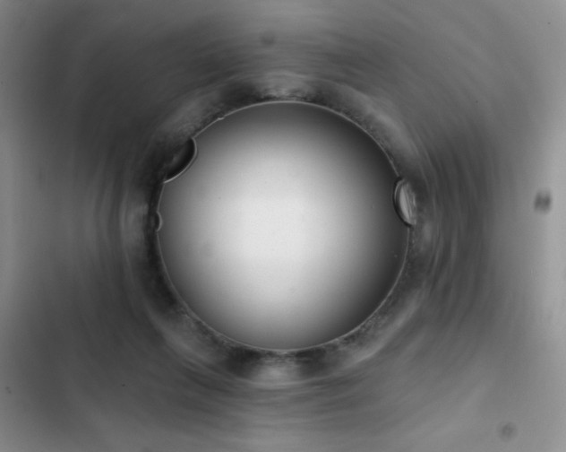 X0000102850263200808181424