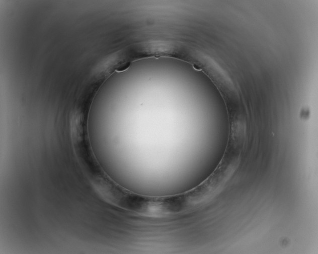 X0000102850264200808181424