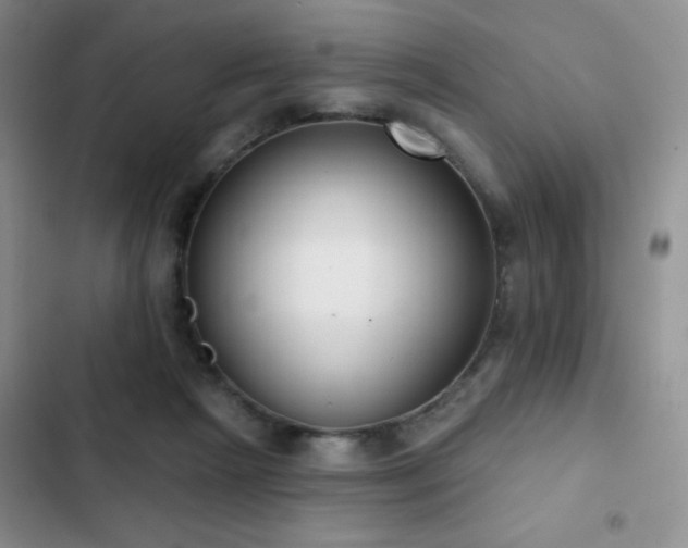 X0000102850265200808181424