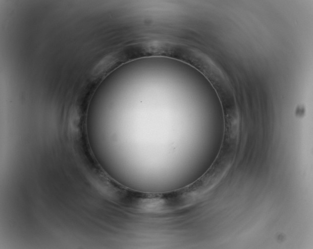 X0000102850266200808181424
