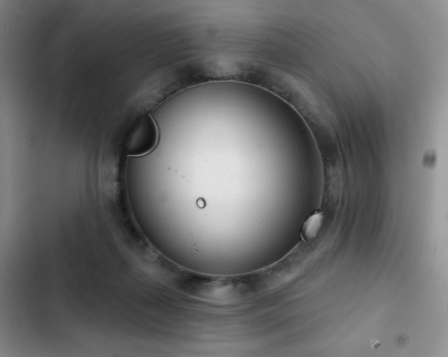 X0000102850267200808181424