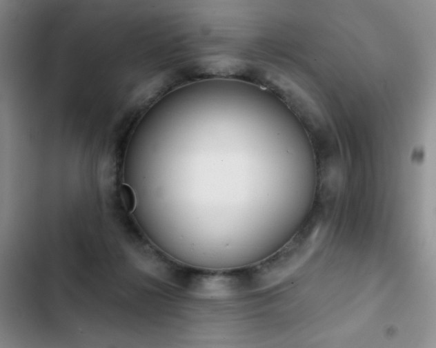 X0000102850268200808181424