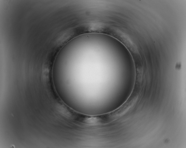 X0000102850269200808181424