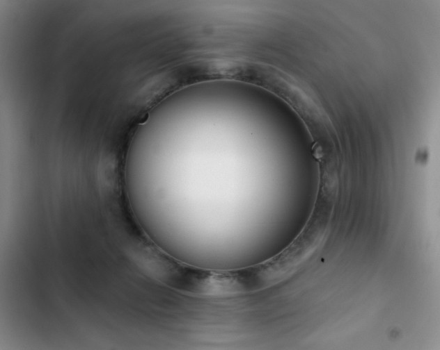 X0000102850270200808181424