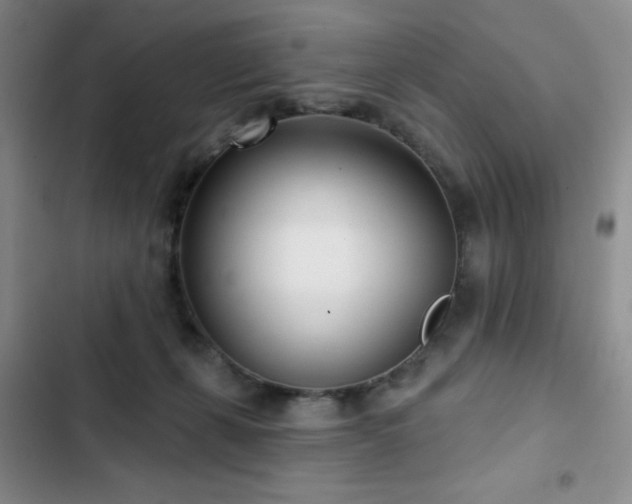 X0000102850271200808181424