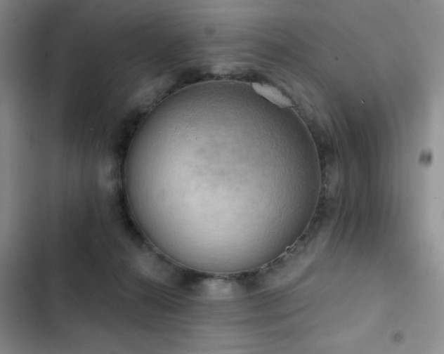 X0000102850272200808181424