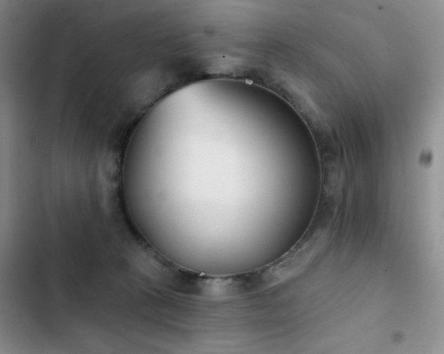 X0000102850273200808181424