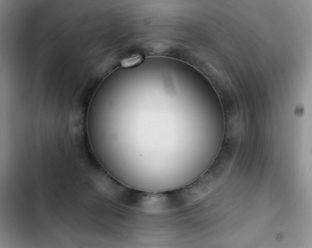X0000102850274200808181424