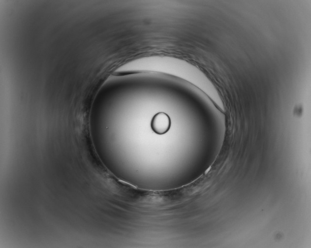X0000102850276200808181424