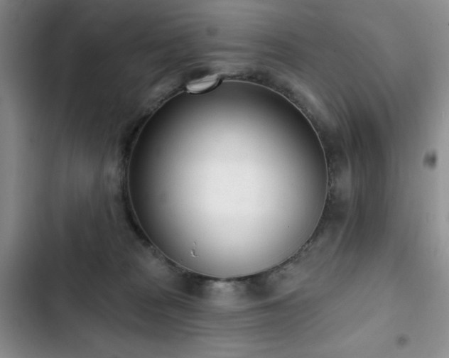 X0000102850277200808181424