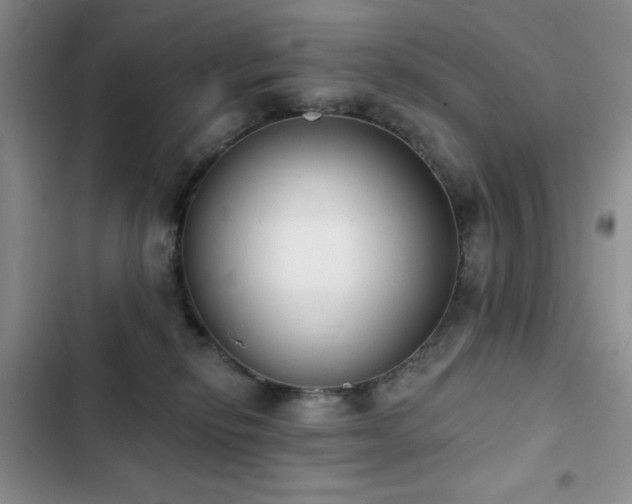 X0000102850278200808181424