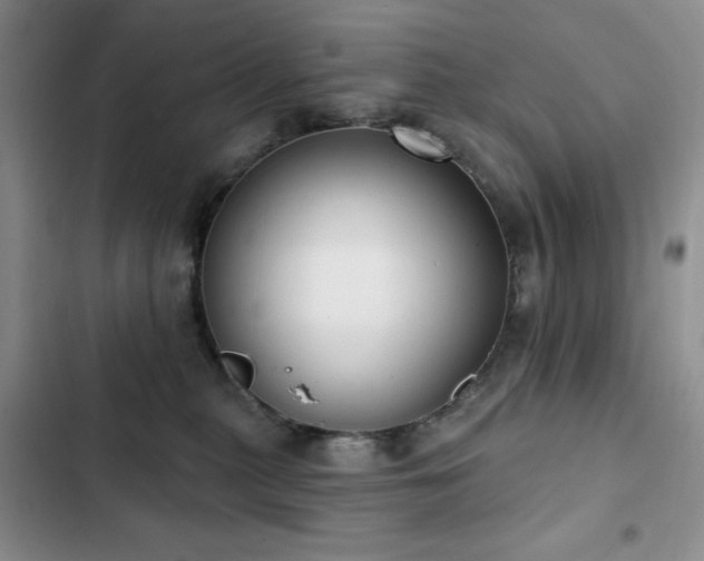 X0000102850279200808181424