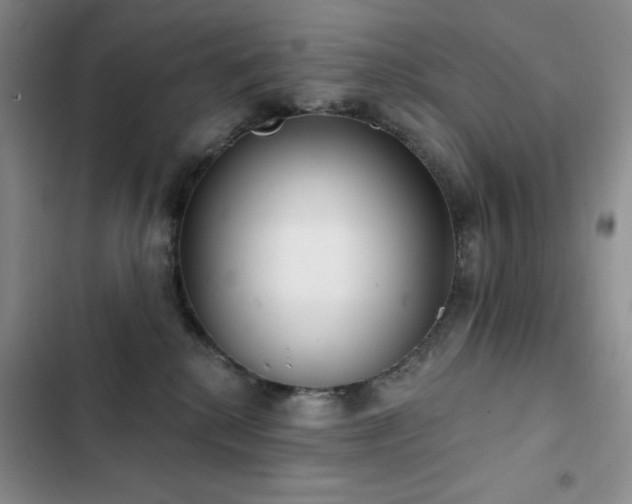 X0000102850280200808181424