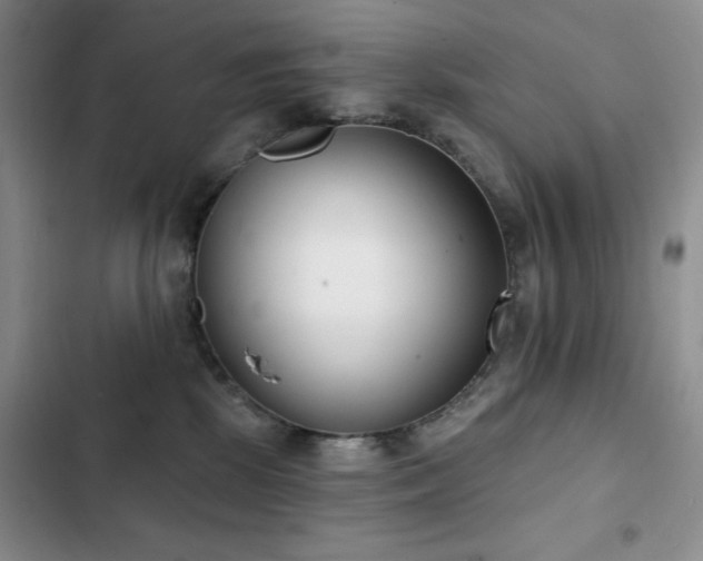 X0000102850281200808181425