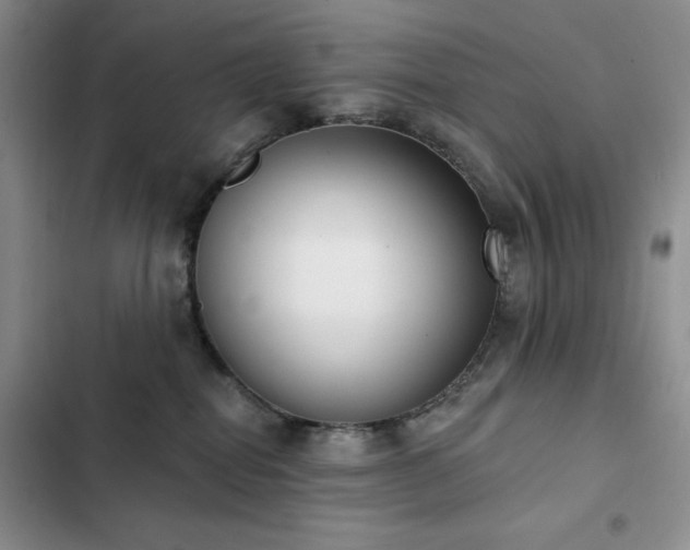 X0000102850282200808181425