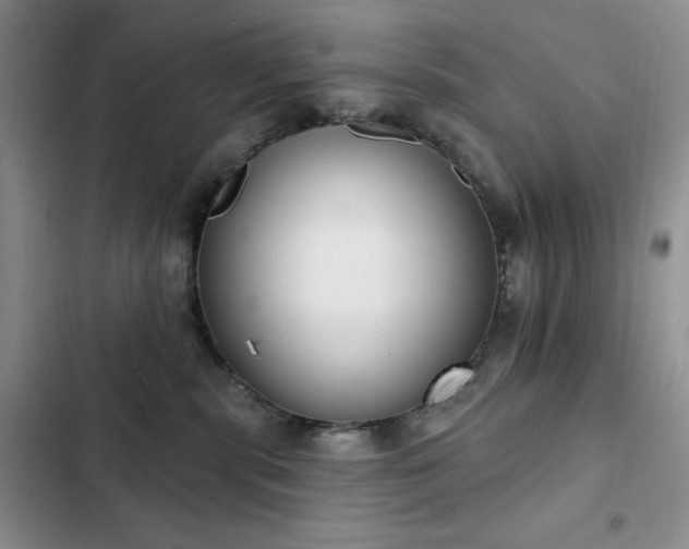 X0000102850283200808181425