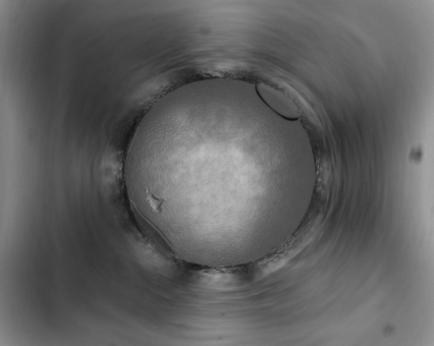 X0000102850284200808181425