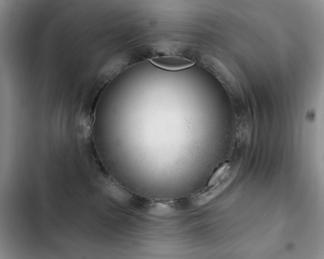 X0000102850285200808181425