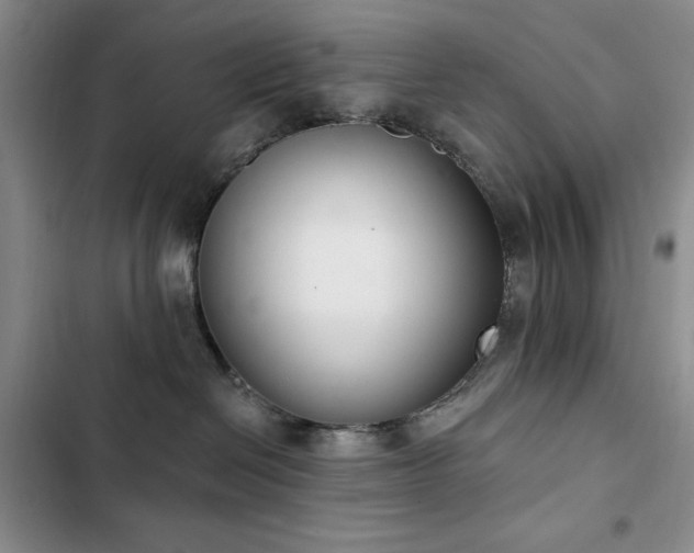 X0000102850286200808181425