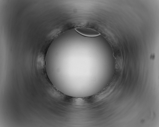 X0000102850287200808181425