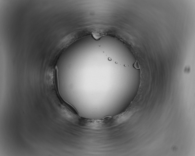 X0000102850288200808181425