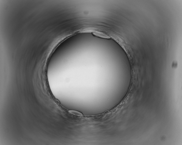X0000102850289200808181424