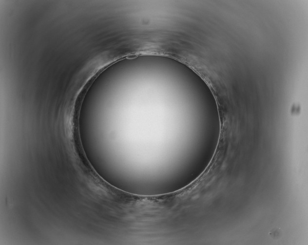 X0000102850290200808181424