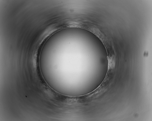 X0000102850291200808181424