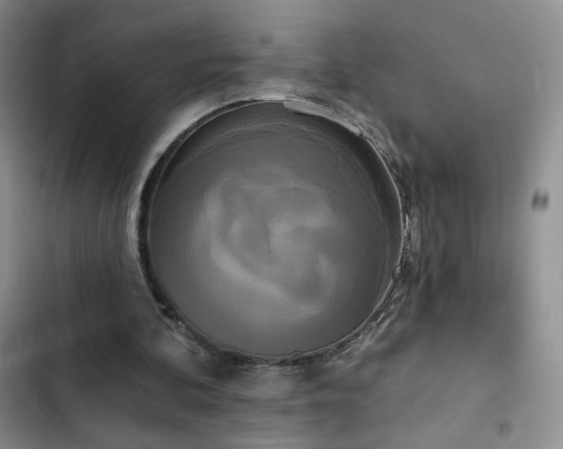 X0000102850292200808181424