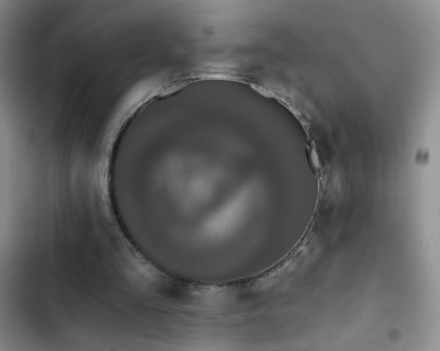 X0000102850293200808181424