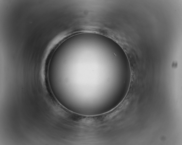 X0000102850294200808181424