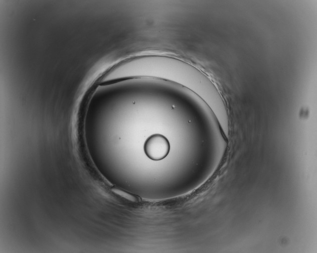 X0000102850296200808181424